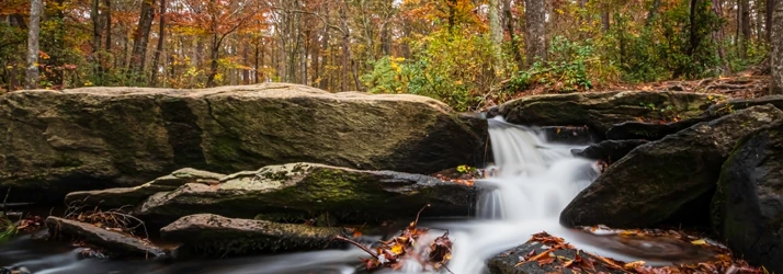 Hassig Family Chiropractic in Mountain Brook AL